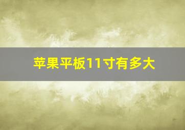 苹果平板11寸有多大