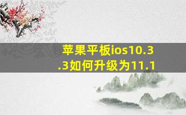 苹果平板ios10.3.3如何升级为11.1