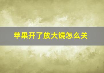 苹果开了放大镜怎么关