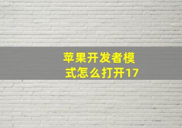 苹果开发者模式怎么打开17