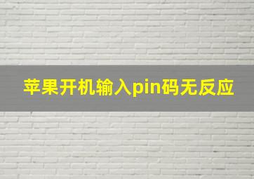 苹果开机输入pin码无反应