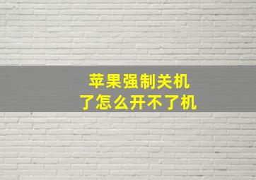 苹果强制关机了怎么开不了机