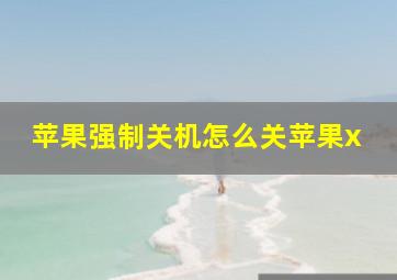 苹果强制关机怎么关苹果x