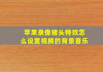 苹果录像猪头特效怎么设置视频的背景音乐