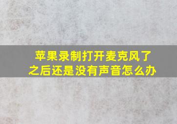 苹果录制打开麦克风了之后还是没有声音怎么办