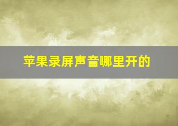 苹果录屏声音哪里开的