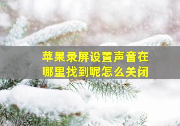 苹果录屏设置声音在哪里找到呢怎么关闭