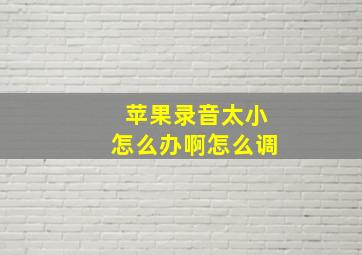 苹果录音太小怎么办啊怎么调