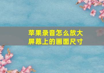 苹果录音怎么放大屏幕上的画面尺寸