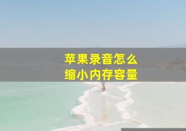 苹果录音怎么缩小内存容量