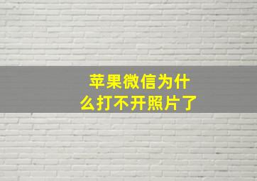 苹果微信为什么打不开照片了