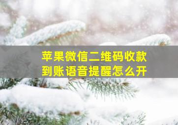 苹果微信二维码收款到账语音提醒怎么开