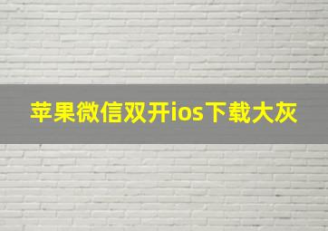 苹果微信双开ios下载大灰