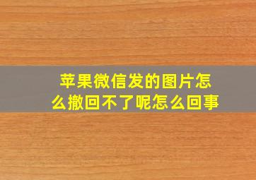 苹果微信发的图片怎么撤回不了呢怎么回事