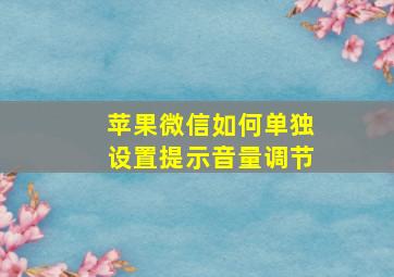 苹果微信如何单独设置提示音量调节