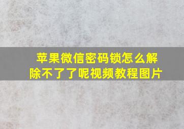 苹果微信密码锁怎么解除不了了呢视频教程图片