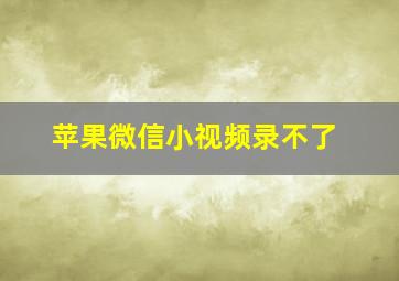 苹果微信小视频录不了