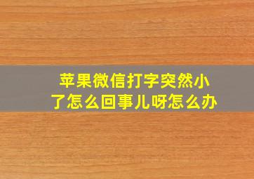 苹果微信打字突然小了怎么回事儿呀怎么办