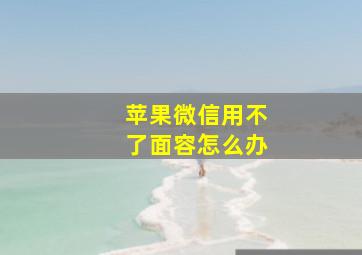 苹果微信用不了面容怎么办