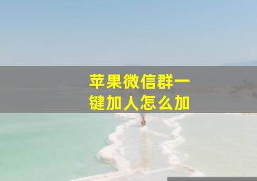 苹果微信群一键加人怎么加