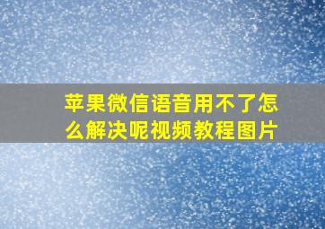 苹果微信语音用不了怎么解决呢视频教程图片