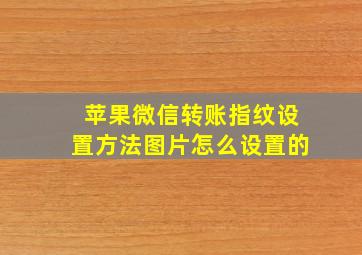 苹果微信转账指纹设置方法图片怎么设置的