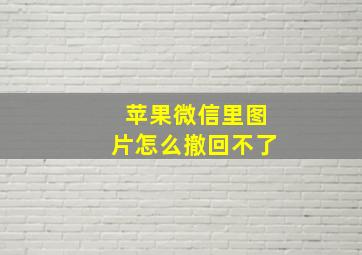 苹果微信里图片怎么撤回不了