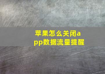 苹果怎么关闭app数据流量提醒