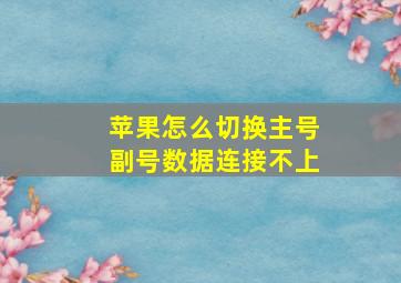 苹果怎么切换主号副号数据连接不上