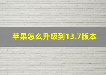 苹果怎么升级到13.7版本