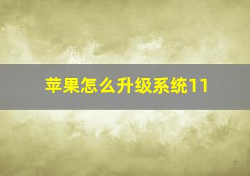 苹果怎么升级系统11