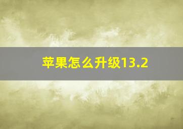 苹果怎么升级13.2