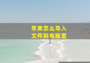 苹果怎么导入文件到电脑里