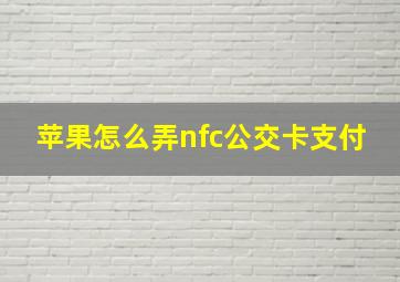 苹果怎么弄nfc公交卡支付