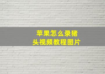 苹果怎么录猪头视频教程图片