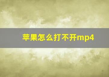 苹果怎么打不开mp4