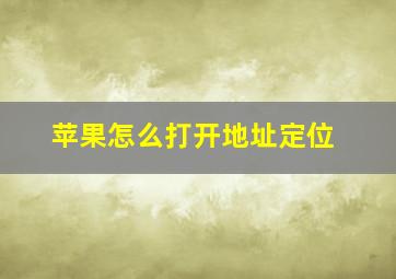 苹果怎么打开地址定位