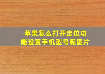 苹果怎么打开定位功能设置手机型号呢图片