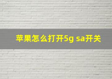 苹果怎么打开5g sa开关