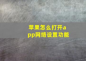 苹果怎么打开app网络设置功能