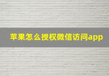 苹果怎么授权微信访问app