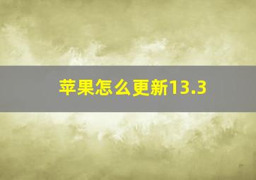 苹果怎么更新13.3