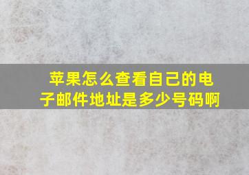 苹果怎么查看自己的电子邮件地址是多少号码啊