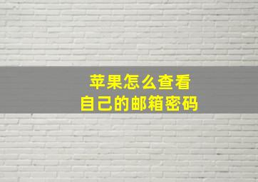 苹果怎么查看自己的邮箱密码