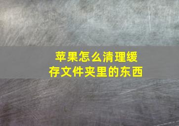 苹果怎么清理缓存文件夹里的东西