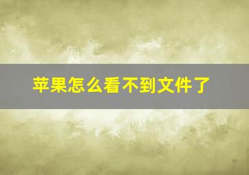 苹果怎么看不到文件了