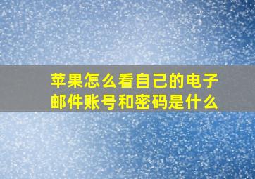 苹果怎么看自己的电子邮件账号和密码是什么