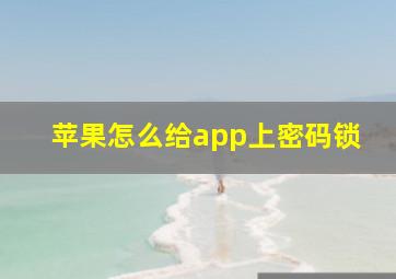 苹果怎么给app上密码锁