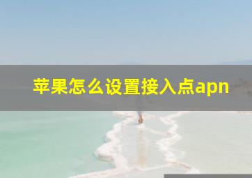 苹果怎么设置接入点apn