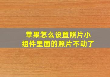 苹果怎么设置照片小组件里面的照片不动了